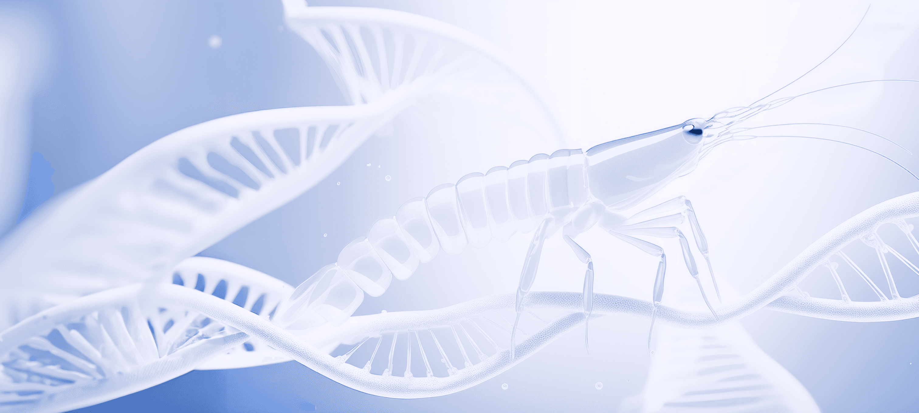 Introduction to R&D in Shrimp Farming
