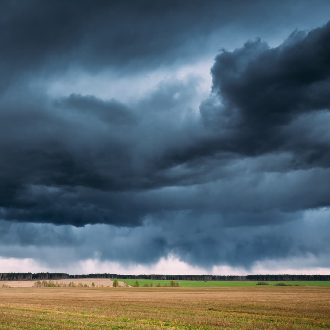 The Impact of Heavy Rain on Shrimp Farming