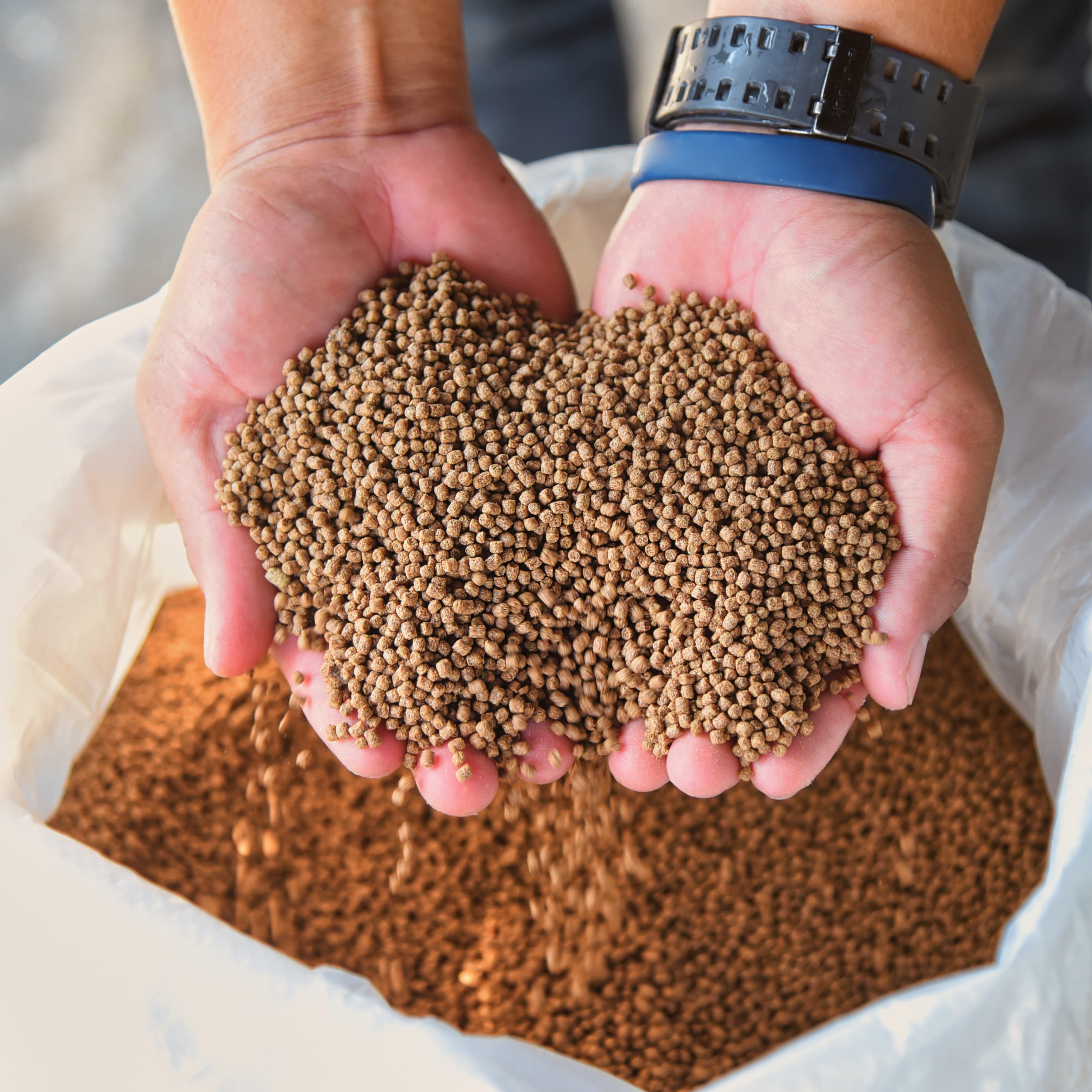 What is really in your shrimp feed and how does it affect your farm?